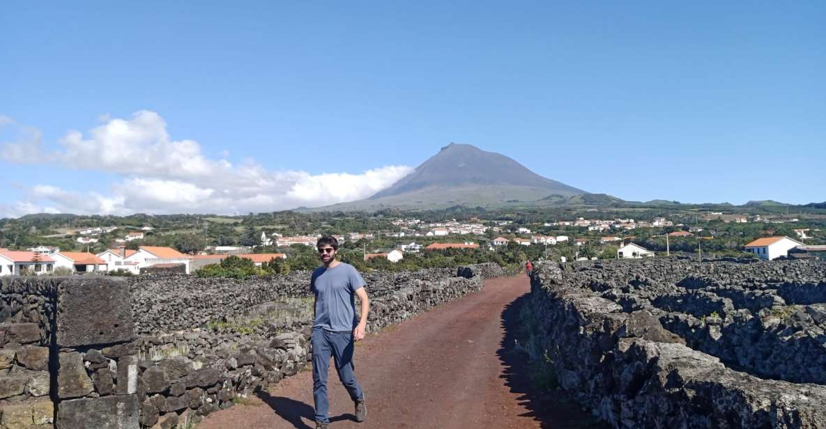 Wine Tour and Tasting With a Winemake at Pico Island - Exclusive Vineyard Visits and Tastings