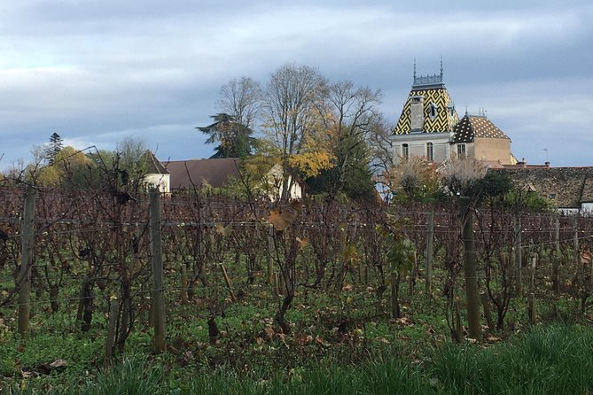 Wine Tour - Meursault, Its Prestigious Whites - Accessibility Information