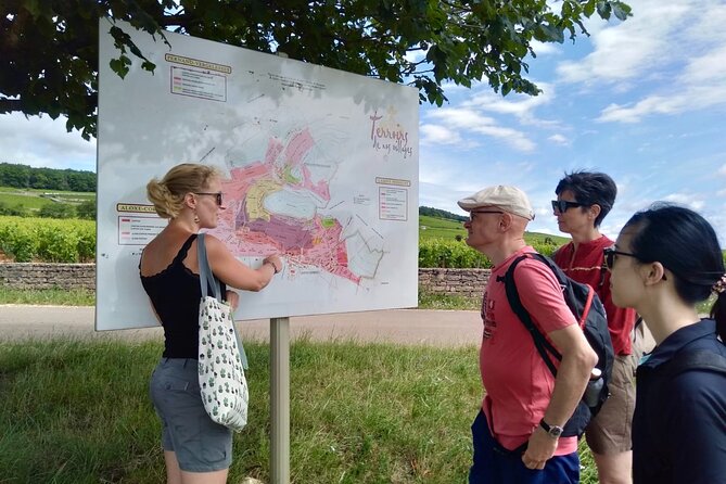 Wine Walking Tour Through the Burgundian Vineyards - 2h - Wine Tasting Experience