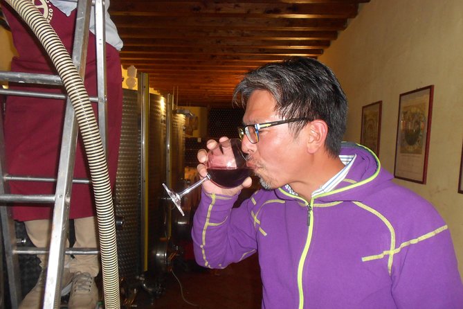 Winery Agriturismo Santo Stefano Castiglion Fiorentino (6 Types of Wine) - Wine Tasting Experience