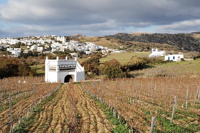 Winery Tour and Tasting in Tinos With the Winemaker - Winemaking Secrets Revealed