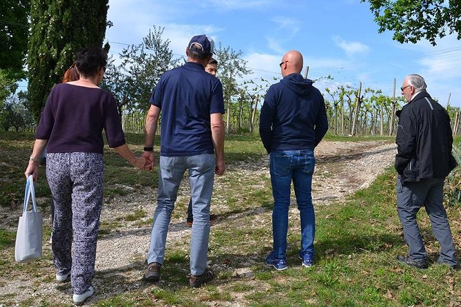 Winery Tour and Tasting of Garda Wines in Lazise - Cancellation Policy Details