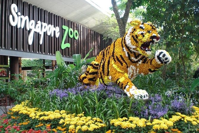 Wondrous Wildlife @ Singapore Zoo Roundtrip Transfers - Tour Details and Inclusions