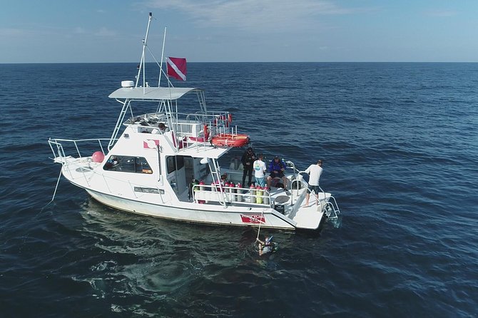 Wreck and Bridge Span Dive Charter for Certified Divers - Inclusions and Gear