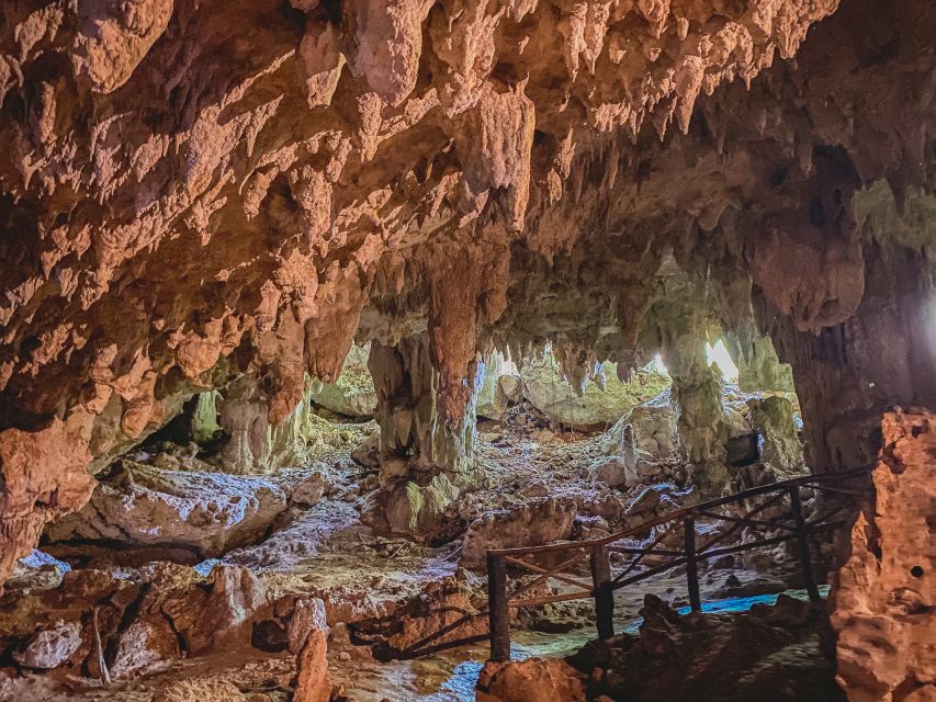 Xtun Cenote Underground Caverns Tour & Open Cenote Swim - Experience Highlights & Cenote Exploration