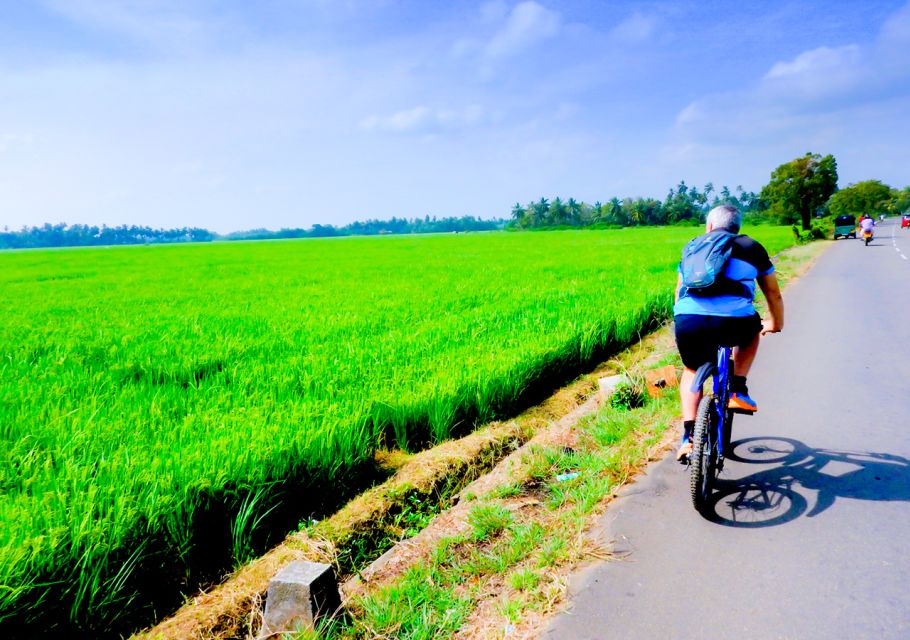 Yala: Village Cycling Tour - Experience Highlights
