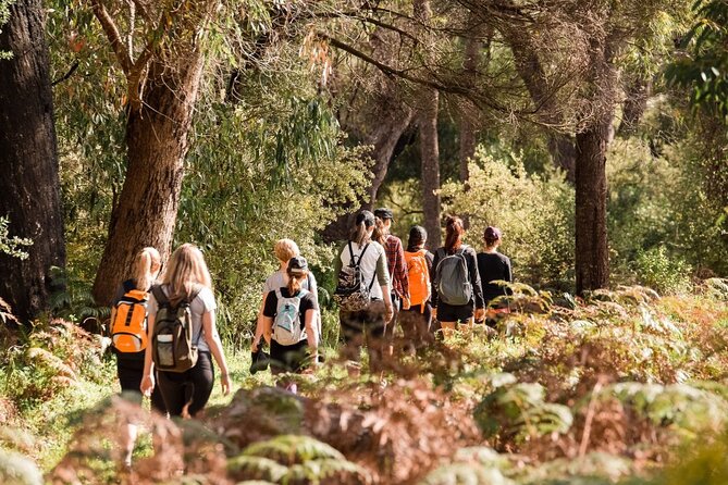 Yanchep Ultimate Adventure Guided Hike Tour - Ghost House Ruins Wander and Koala Spotting