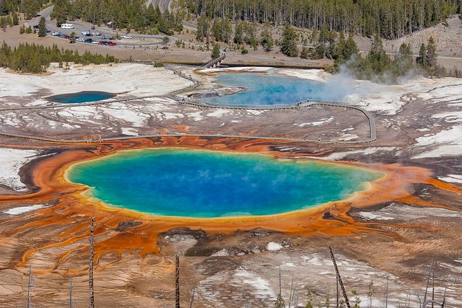 Yellowstone Lower Loop Guided Tour From Cody, Wyoming - Customer Reviews