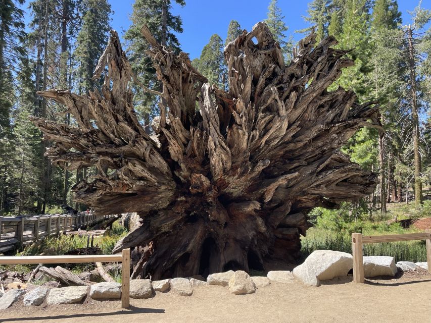 Yosemite, Giant Sequoias, Private Tour From San Francisco - Tour Highlights