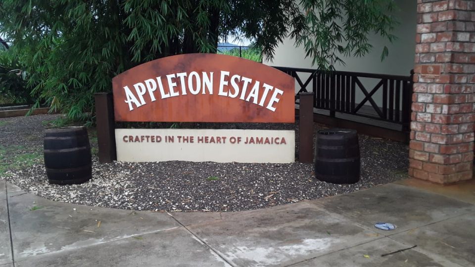 Ys Falls and Appleton Estate Private Tour - Experience Highlights