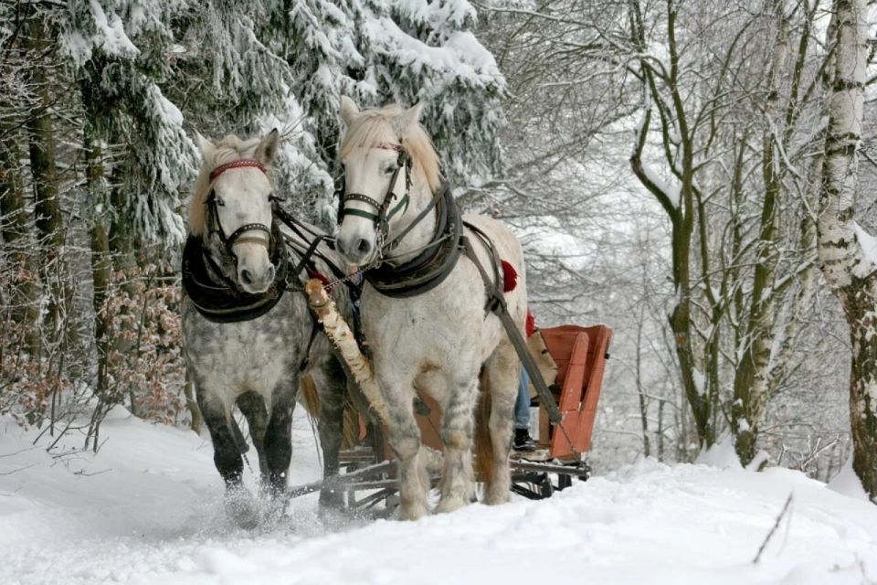 Zakopane and Sleigh Ride With Transfers and Lunch Option - Experience Highlights