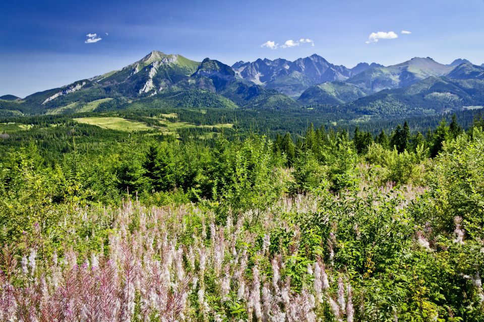 Zakopane: Tatra Mountains Full Day Tour From Krakow - Tour Highlights