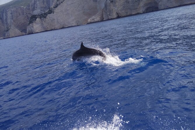 Zakynthos All Day Tour Shipwreck Beach, View Point-Blue Caves - Inclusions and Amenities