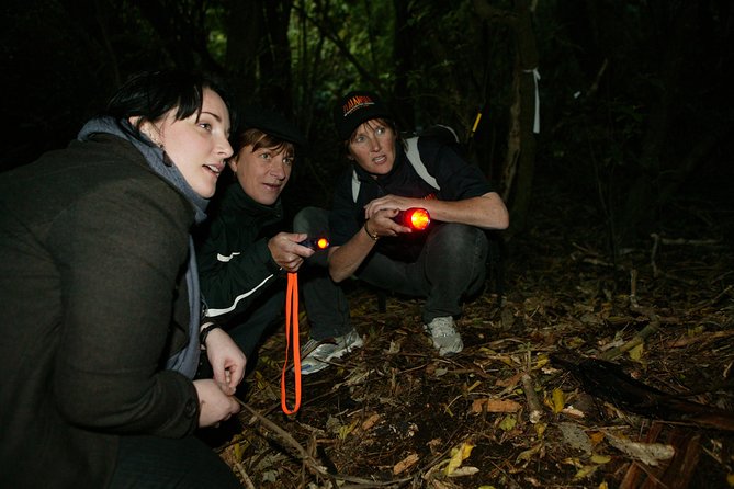 Zealandia Small Group Eco Wildlife Night Tour - Logistics and Meeting Point Details