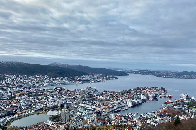 Zero Emission Bergen City Tour By Car - Local Guide Expertise