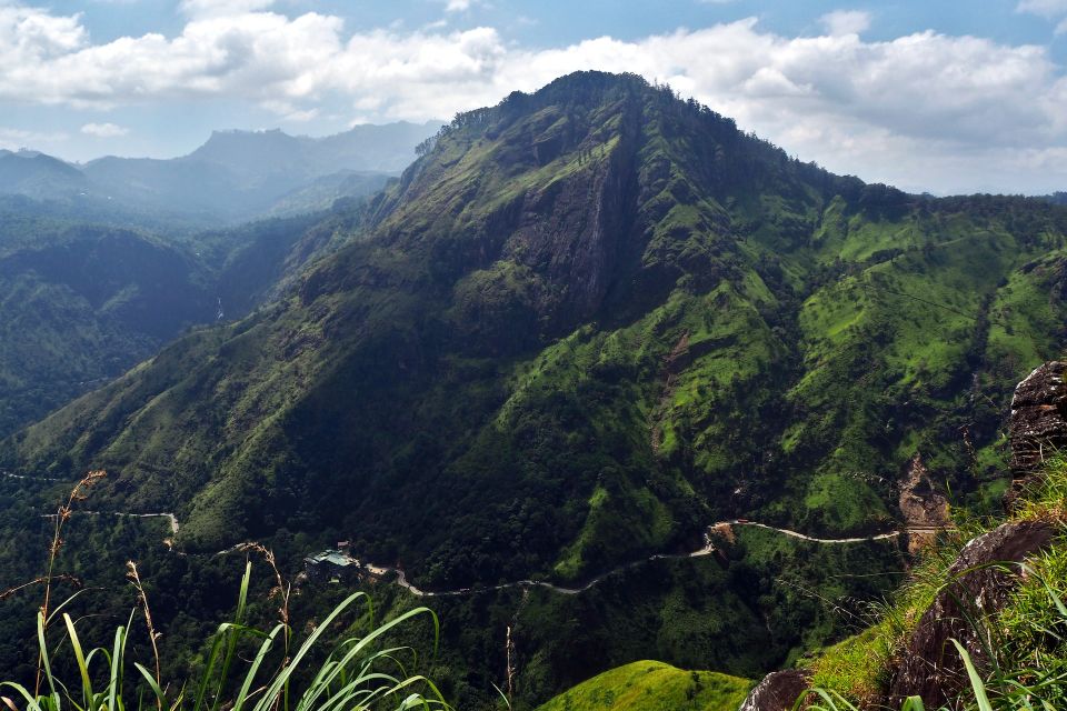 Zip Lining in Ella - Instructor Information