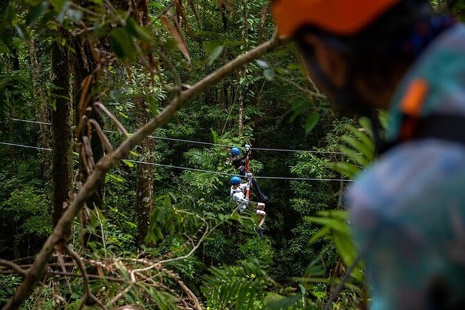 Ziplining Cape Tribulation With Treetops Adventures - Traveler Experience and Reviews
