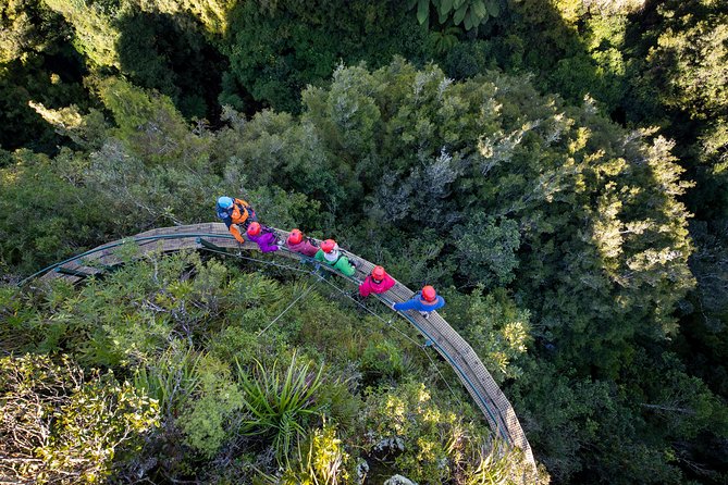 Ziplining Forest Experience - The Ultimate Canopy Tour Rotorua - Booking Policy Details