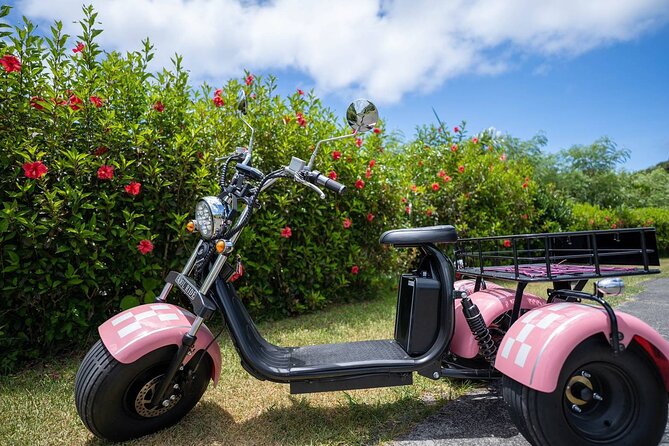 2h Electric Trike Rental in Okinawa Ishigaki - Key Points