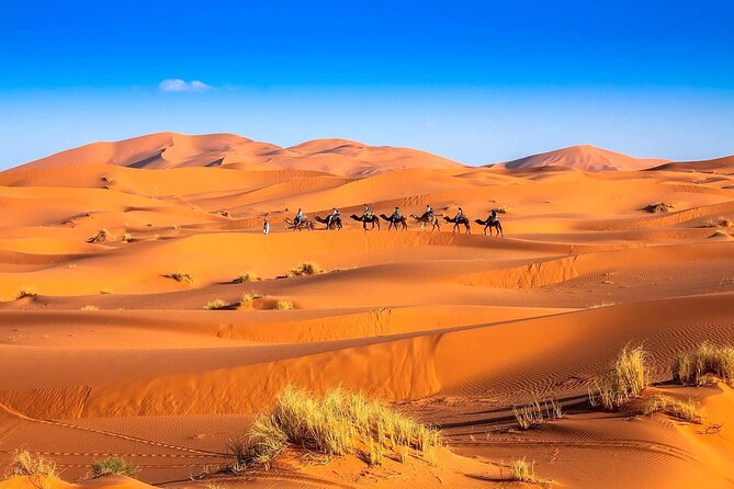 3-Day Desert Tour Marrakech to Fes via Merzouga - Key Points