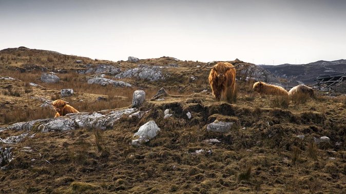 3 Day Isle of Lewis and Harris Tour From Inverness - Key Points