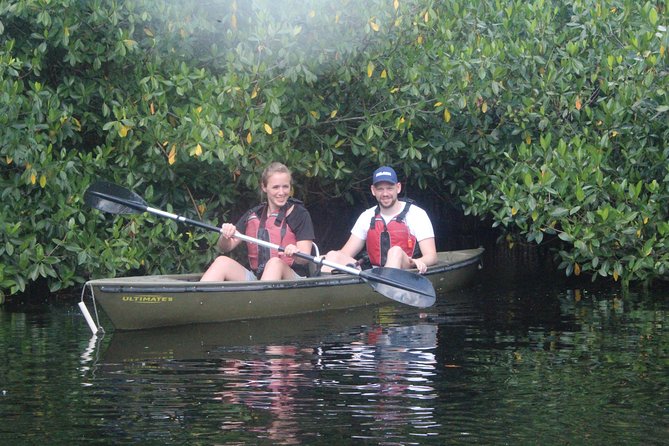 3 Hour Guided Mangrove Tunnel Kayak Eco Tour - Just The Basics
