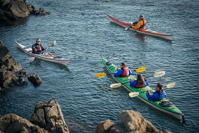 3-Hour Sea Kayak Tour in the San Juan Islands - Key Points