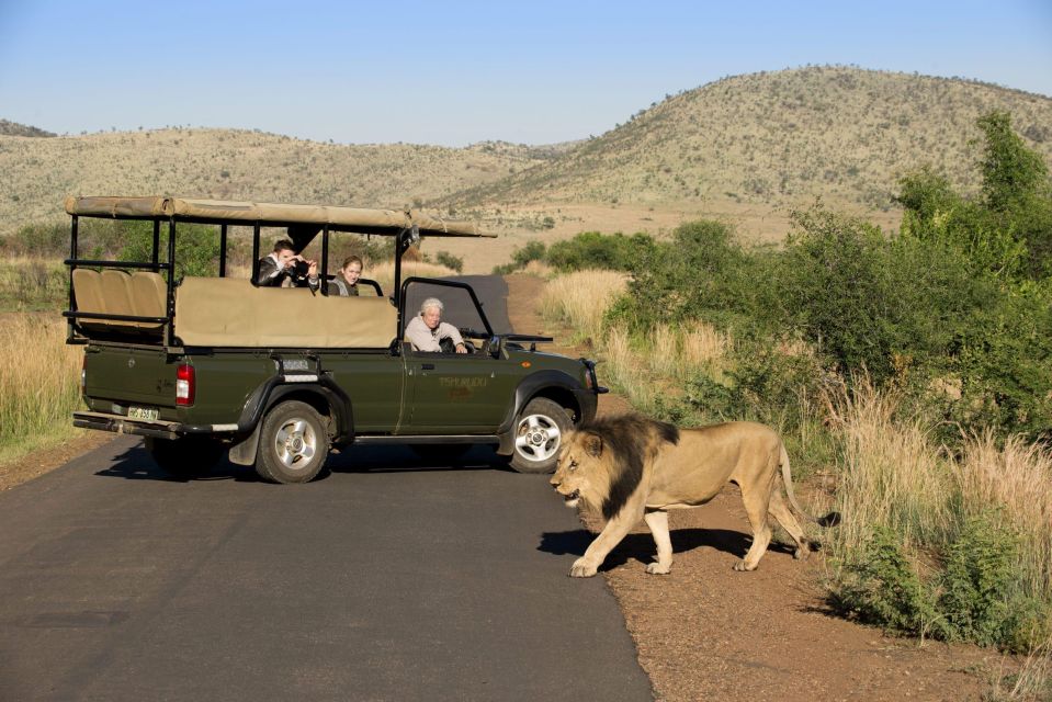 3-Hour Shared Game Drive in Pilanesberg National Park - Key Points