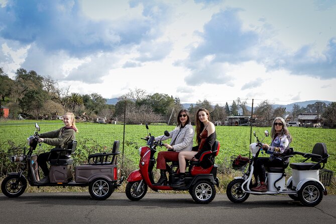 3 Hr Guided Wine Country Tour in Sonoma on Electric Trike - Just The Basics