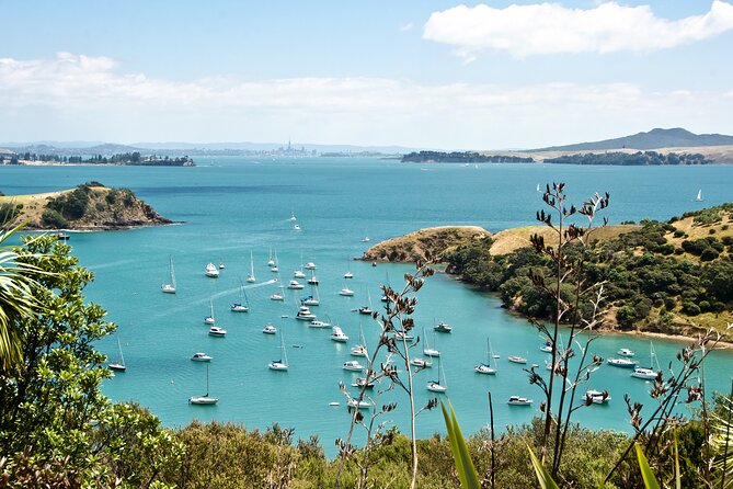 1.5h Waiheke Guided Scenic Tour in Our Electric Van - Common questions
