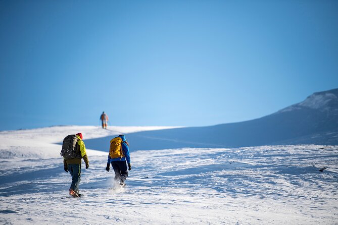 1 Day Snowcoach and Snowshoe Adventure in Jotunheimen - Itinerary for the Day