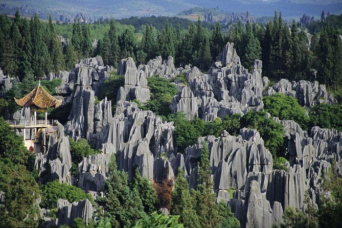 1 Day Stone Forest & Jiuxiang Cave Tour - Summary