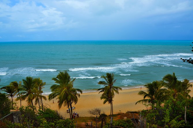 1 Day Tour to Pipa Beach / RN - Departing From Natal / RN - Weather Dependence and Refunds