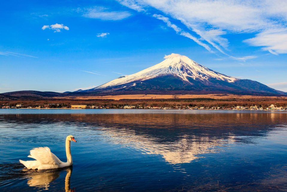 1-Day Trip: Mt Fuji Kawaguchi Lake Area - Customer Reviews