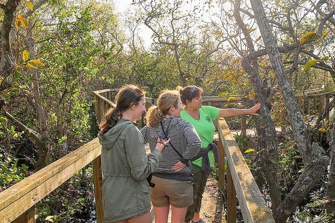 1-Hour Air Boat Ride and Nature Walk With Naturalist in Everglades National Park - Traveler Experience and Recommendations