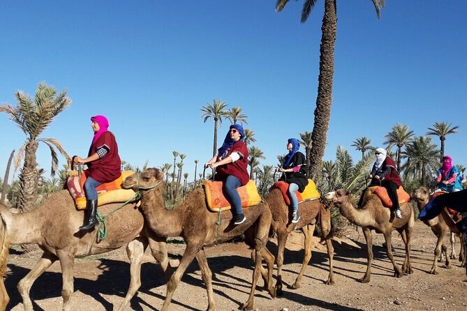 1-Hour Camel Ride and 1-Hour Quad Bike Ride in Marrakech. - Logistics Information