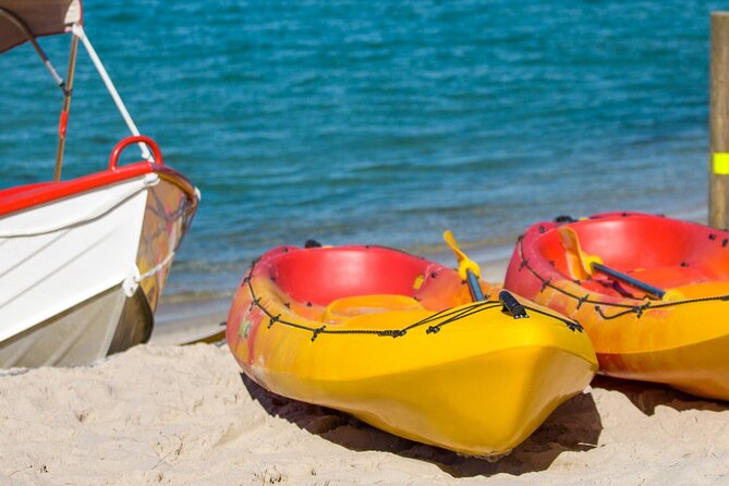 1 Hour Single or Double Kayak Rental to the Nth Bribie Island - Participant Requirements and Restrictions