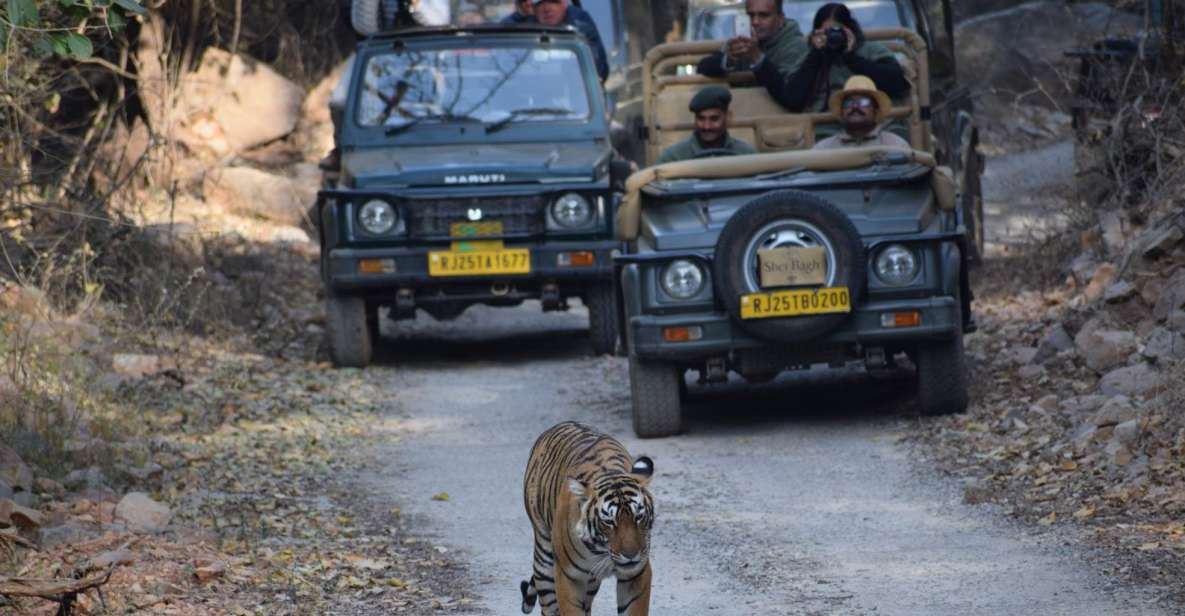 1 Night 2 Days Ranthambhore WildLife Tour From Jaipur - Transfer Duration and Inclusions