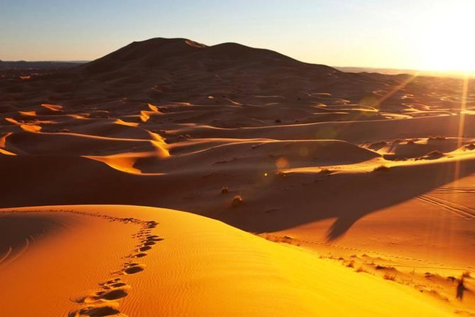 1 Night Camel Trekking Tour in Merzouga Desert Camp - Pricing Information