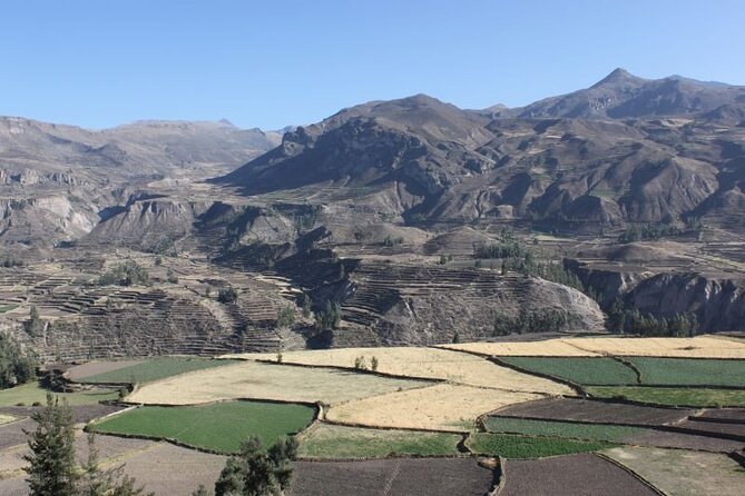 10-Day Discover Peru: Lima, Arequipa, Puno, Cusco & Machu Picchu - Colca Canyon and Route to Puno