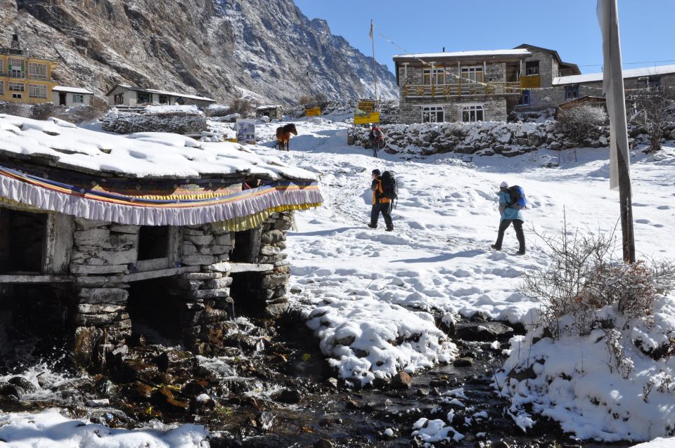 10 Days Langtang Valley Trek & Tour - Full Description of Langtang Valley Trek