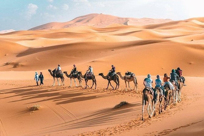 10D 9N Private Morocco Tour From Casablanca By Imperial Cities And South Desert - Cultural Immersion Experiences