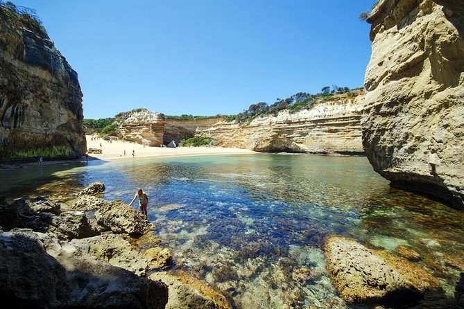 12 Apostles Great Ocean Road Eco Tour With Lunch From Melbourne - Customer Reviews and Ratings