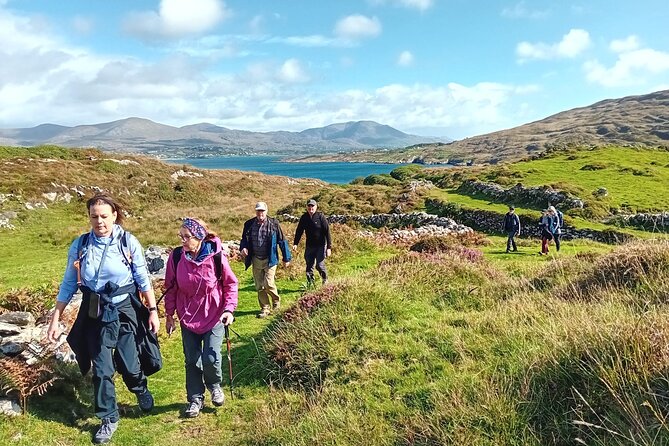 12-Day Giant Irish Adventure Small-Group Tour From Dublin - Accommodation Details