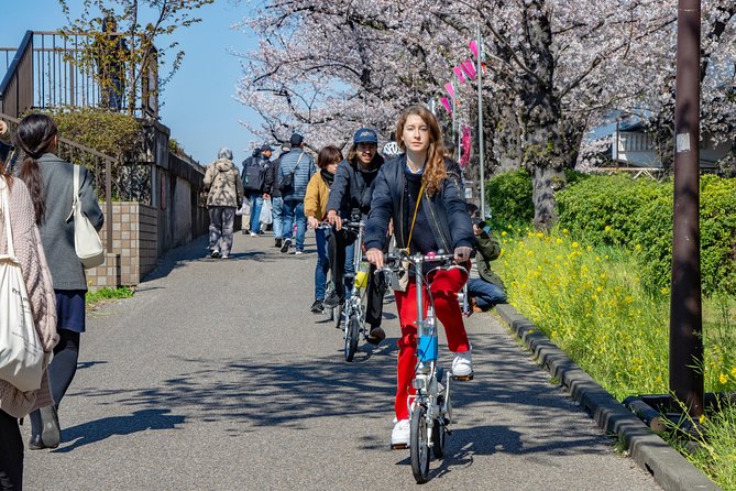 2.5 Hour-Guided Cycle Tour in the Central Tokyo - Cancellation Policy