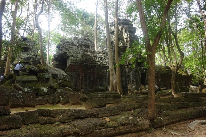 2-Day Angkor Wat With Small, Big Circuit and Banteay Srei Tour - Traveler Experiences