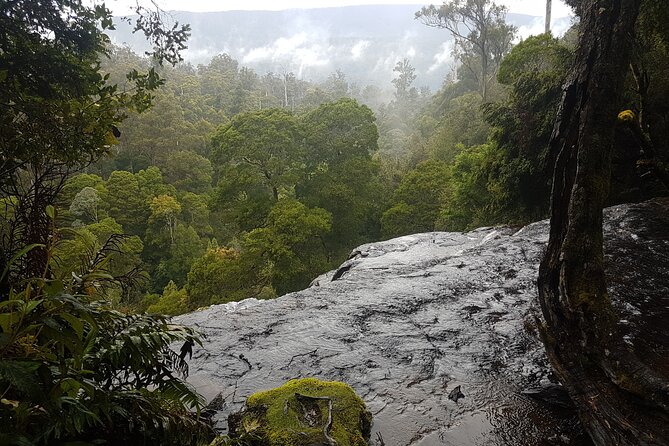 2 Day Cradle Mountain Tour - Cancellation Policy Details