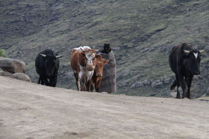 2 Day Eastern Lesotho Village Experience - Community Tourism Details