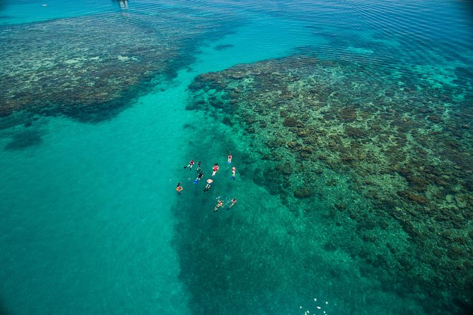 2-Day Great Barrier Reef Combo: Green Island Sailing and Outer Reef Snorkel Cruise - Vegetarian Options and Medical Form