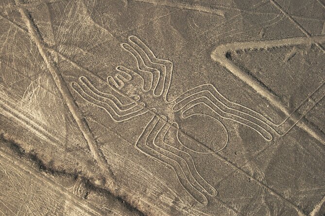 2 Day Tour From Lima: Nazca Lines Flight, Paracas, and Huacachina - Tour Experience and Activities